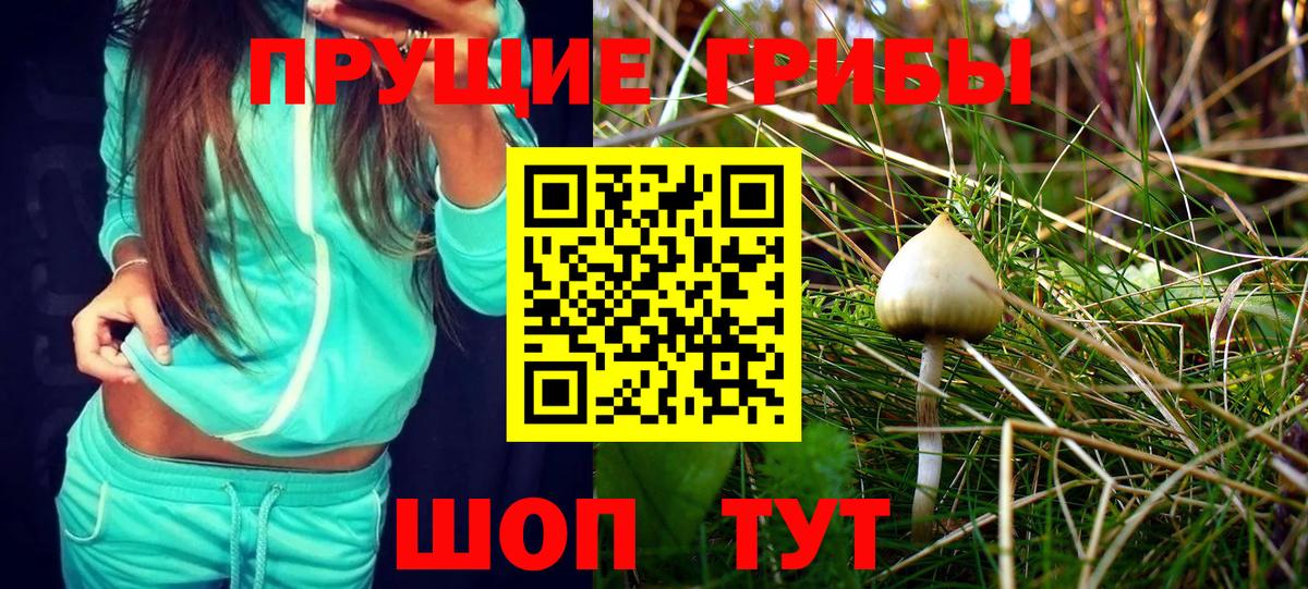 Псилоцибиновые грибы Psilocybine cubensis  Вход с VPN  Псилоцибиновые грибы MAGIC MUSHROOMS  Кубинка 